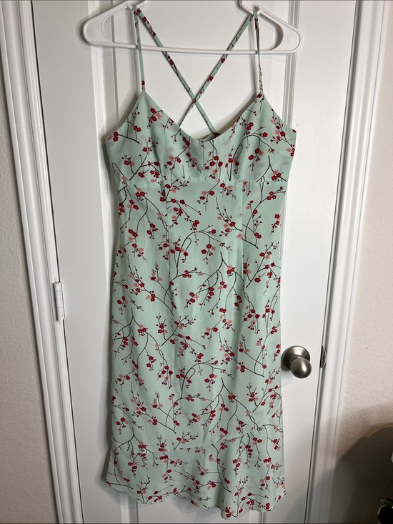 Express Dresses & Skirts - Vintage Express Mint Green Slip Dress with Red Floral Print